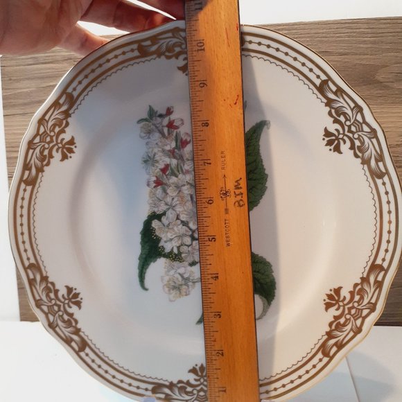 Andrea by Sadek, Golden Botanical by Thomas Curtis 1808 London Plate 10 1/2" - Picture 3 of 9